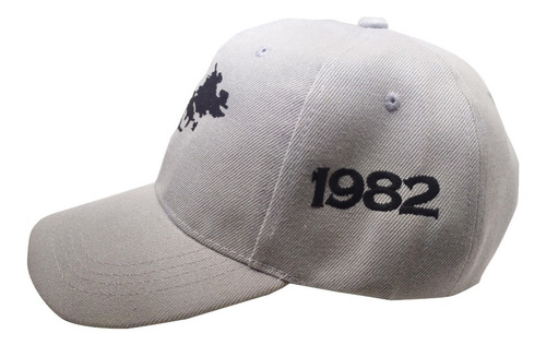 Imagen 3 de 7 de Gorra Islas Malvinas Cap Bordadas Tacticas C/copa Gris Claro