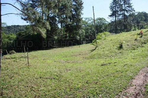 Imagem 13 de 15 de Casa Chácara Para Venda, 3 Dormitório(s), 40000.0m² - 4337