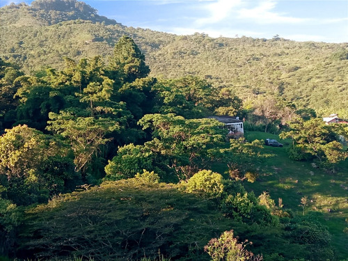 Venta Lote N°6 En Parcelación Campestre Dapa