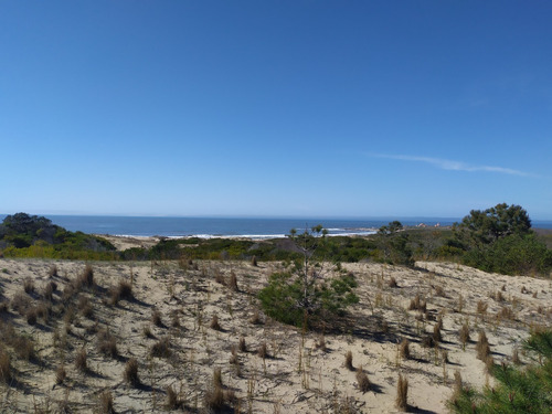 Imagen 7 de 19 de Solar - En Venta En La Viuda Punta Del Diablo A 150m De La Playa - Mza 253