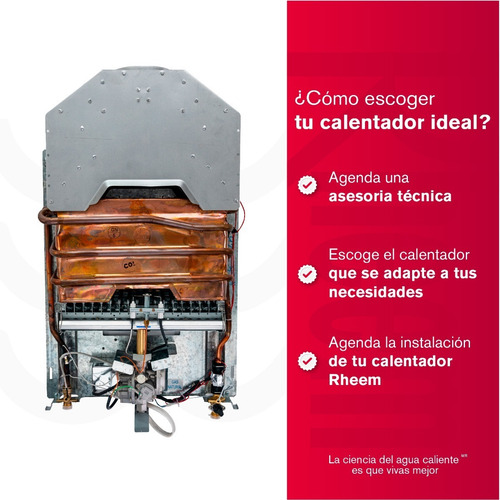 Calentador Rheem 16lt Digital Tiro Natural Gas Propano Glp
