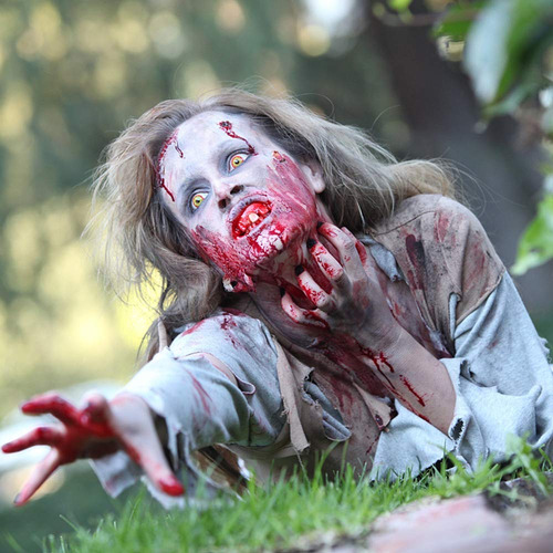Kit De Maquillaje Zombie, Kit De Maquillaje Sfx De Cera Para