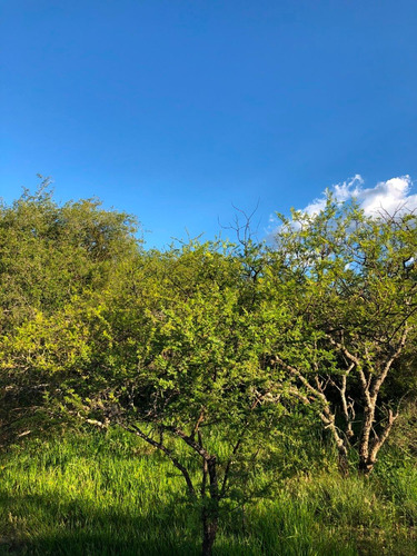 Imagen 2 de 14 de Lote De 3560m2 - Las Chacras - Villa De Las Rosas / Trasla
