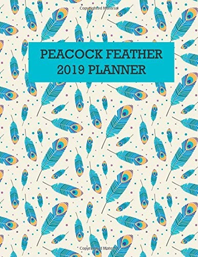 Peacock Feather 2019 Planner 2019 R 2020 2 Year Calendar Wit