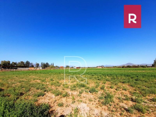 Imagen 5 de 10 de Terreno 5000 M2/ Calle Los Perros/ Talagante