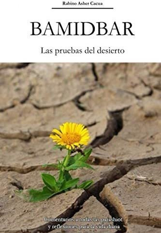 Libro Bamidbar Las Pruebas Del Desierto Comentarios A Todas