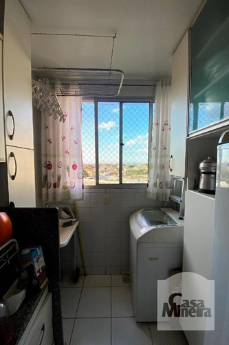 Imagem 12 de 14 de Apartamento À Venda No Jardim Riacho Das Pedras - Código 368032 - 368032