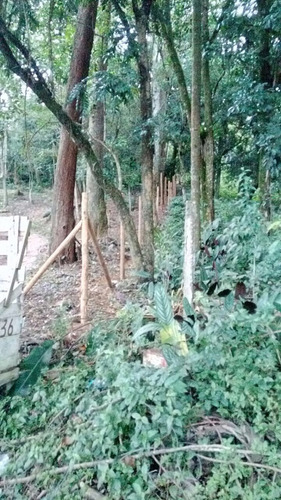 Terreno Em São Bernardo Do Campo Sp