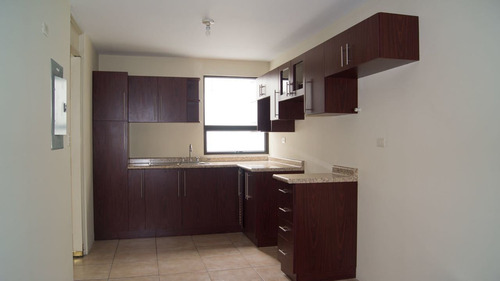 Imagen 3 de 6 de Apartamento En Alquiler Zona 14