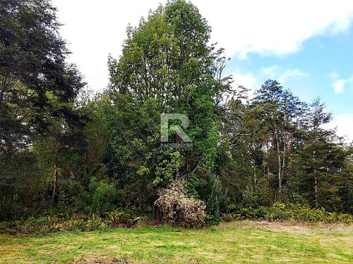 Cabaña En Parcela Con Hermoso Bosque Nativo En Puerto Varas