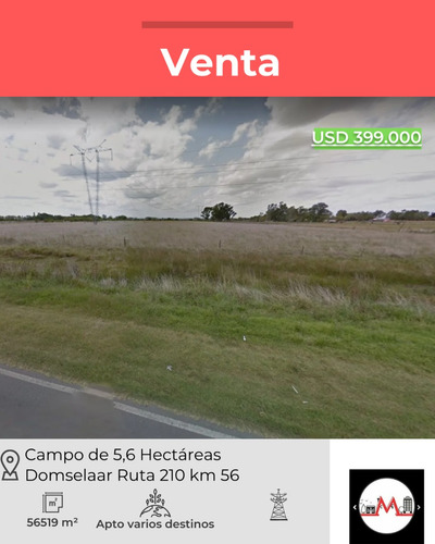 Venta Campo De 5 Hectareas En Domselaar Sobre Ruta 210