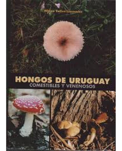 Hongos De Uruguay