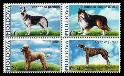 Fauna - Perros - Moldavia 2006 - Serie Mint - Yvert 489-492