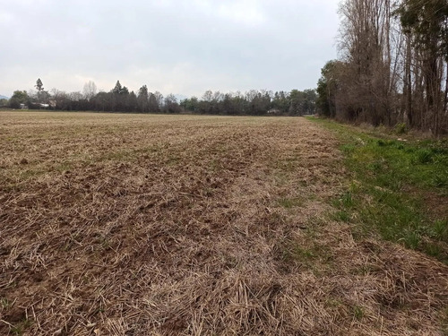 Terreno Agrícola En Venta, Campo De 21 Ha, San Clemente