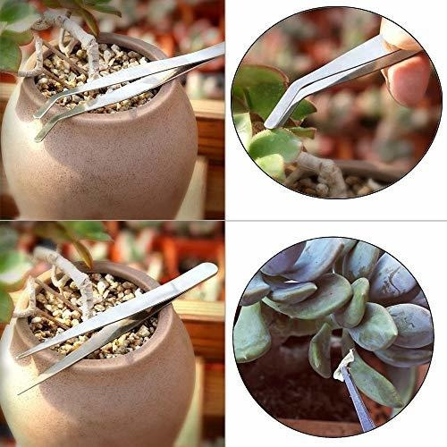 Wesdxc 15 Piezas Herramientas De Plantas Suculentas, Mini He