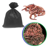 Comprar 400 Minhocas Californianas Compostagem Pesca Hortas Isca