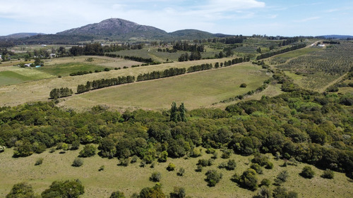 Imagen 5 de 20 de Chacras Financiadas En Pan De Azúcar. Terra Oliva