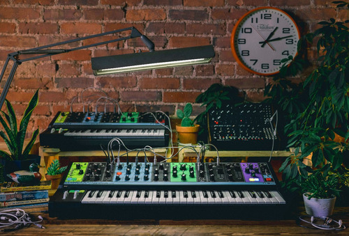 Imagen 10 de 10 de Matriarch Sintetizador Análogo Parafónico Con Delay - Moog