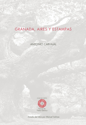 Granada Aires Y Estampas (libro Original)