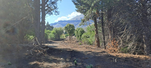 Imagen 4 de 10 de Fina Patagonia. Terrenos En Venta Aires Del Valle Segunda Etapa San Martin De Los Andes
