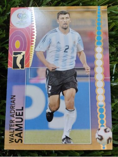 2006 Germany Panini Walter Samuel #42