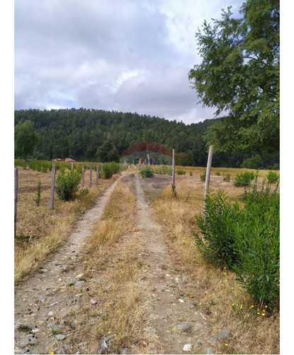 Tu Refugio Natural En Valdivia 26000 M² De Ensueño