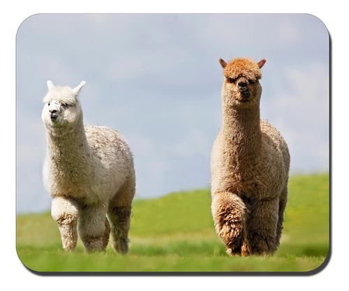 Mouse Pad De Goma Antideslizante Rectangular Pers