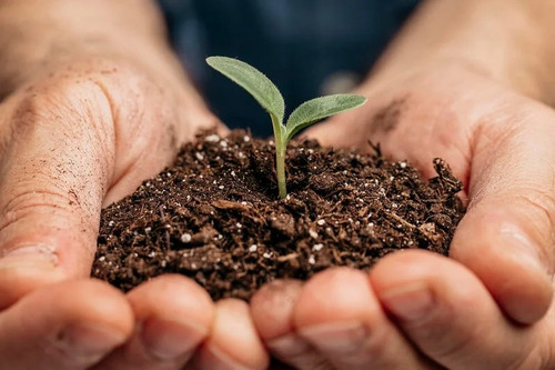 La Tierra Con Lombrices Es Buena Para Las Plantas 1 Kilos
