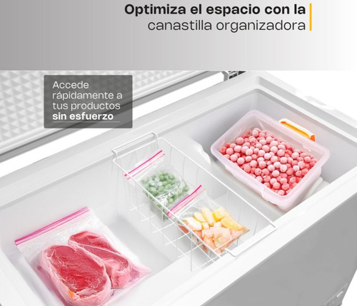 Congelador Horizontal Congeco-10 Rhino