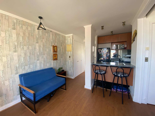 Arriendo Hermoso Depto Amoblado Año Corrido Viña Del Mar