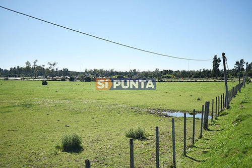 Imagen 2 de 19 de Chacra San Carlos Ruta 9