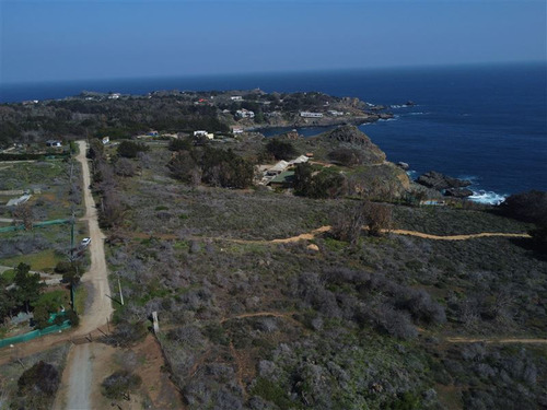 Espectacular Sitio En Primera En Primera Línea En Los Vilos