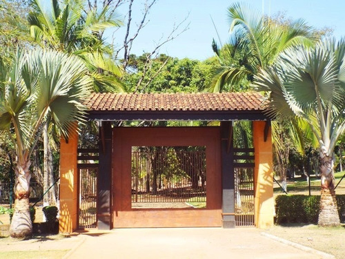 Oportunidade Sítio - 2164