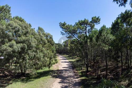 Terreno En Venta Pinamar Alamos