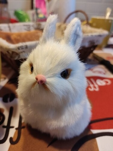 Imagen 4 de 5 de Conejo Peluche Miniatura Simulacion Para Regalo Chile