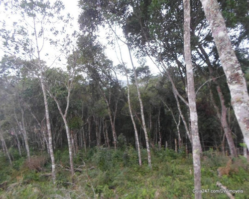 Imagem 15 de 15 de Terreno - 03870 - 33228930