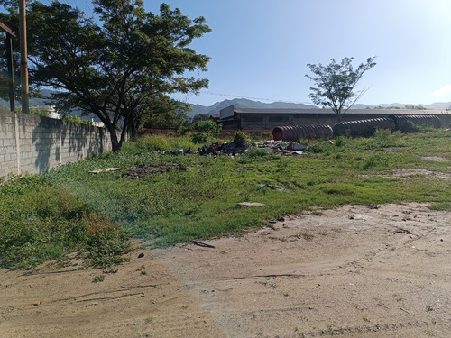 Excelente Terreno Comercial En Terrinca!!