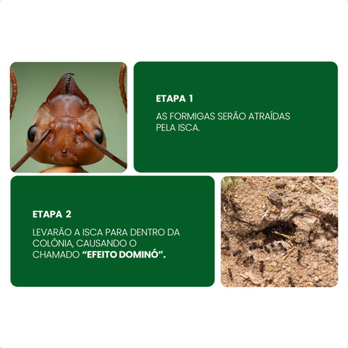 Veneno Inseticida Mata Formigas Cortadeiras Isca Atrativa