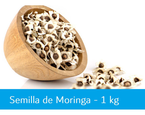 Semilla De Moringa 1 Kg
