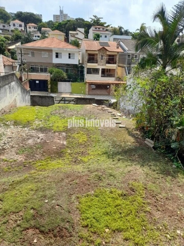 Imagem 3 de 5 de Terreno Com 340m² Para Venda - Mi138339