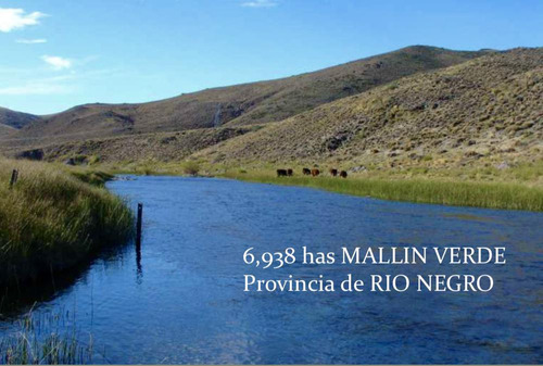 Campo Sobre Río Pichileufu, Río Negro. Ruta 40 Vieja - Bariloche