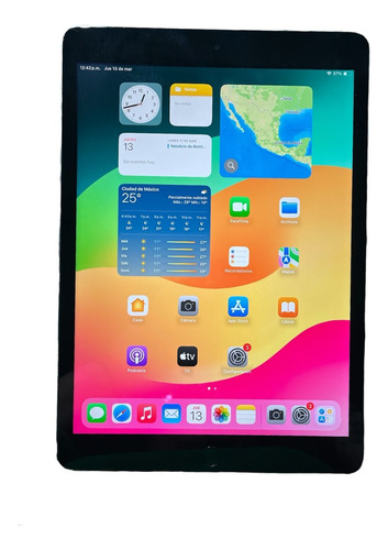 Tablet Apple iPad 9na Gen 10.2'' Wifi 256gb Gris Espacial (Usado)