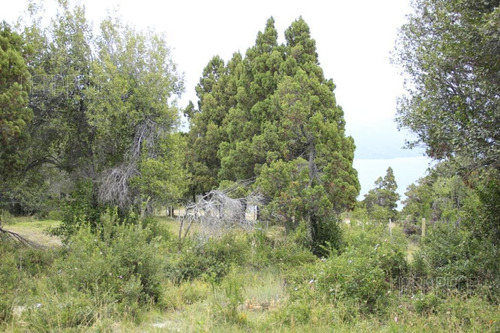 Imagen 9 de 15 de Terreno - Villa Lago Meliquina - 1000m2