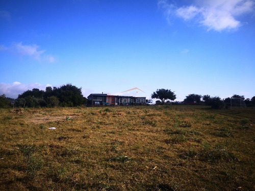 Imagen 25 de 30 de Venta De Chacra Con Vivienda, Ruta 12 Próximo A Pueblo Edén