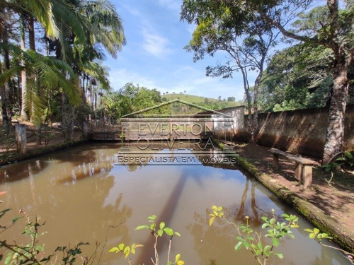 Imagem 6 de 15 de Chacara - Vila Garcia (sao Silvestre) - Ref: 13114 - L-13114