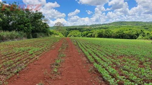 Chácaras_sítios_fazendas Para Venda - 13650.7652