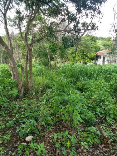 Imagen 4 de 14 de Terreno En Residencial San Lorenzo En Primera Fila