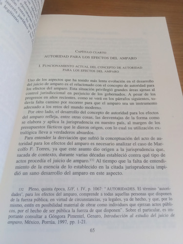 Hacia Una Nueva Ley De Amparo - Arturo Zaldívar Lelo (Usado)