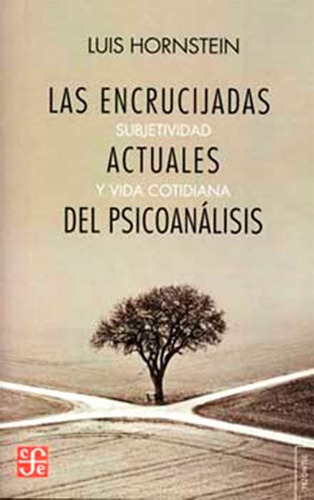 Encrucijadas Actuales Del Psicoanalisis, Las.hornstein, Luis