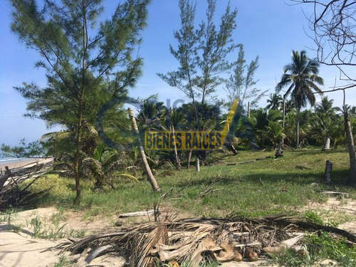 Terreno En Venta En La Playa De Tuxpan